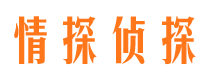 正阳市场调查